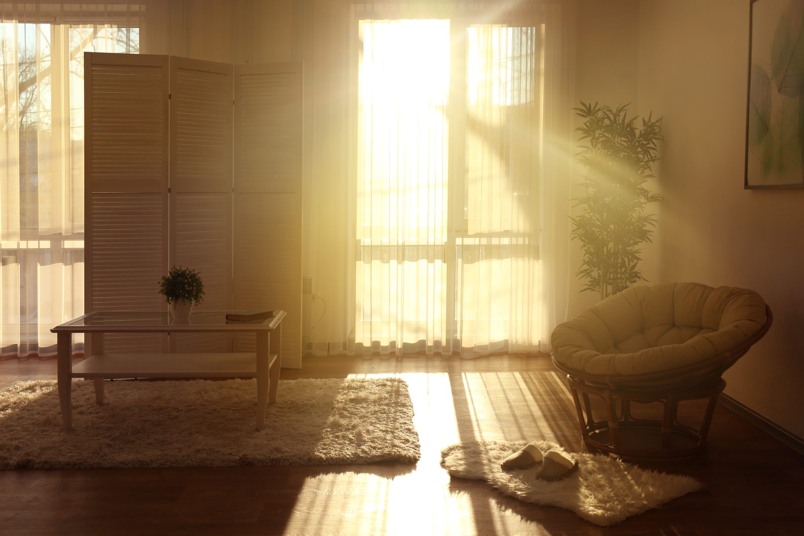 Warm sunlight entering a calm interior